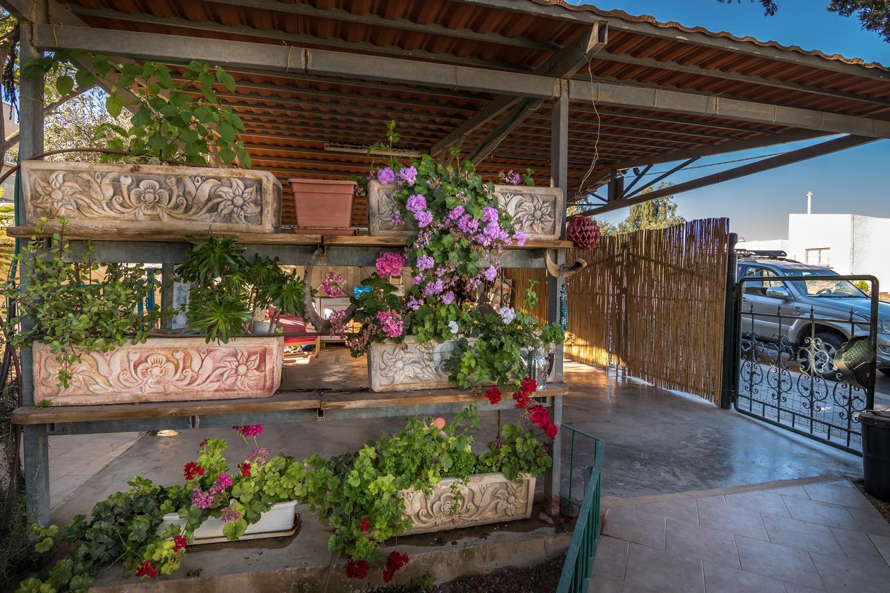 Desert Bird Guest House Arad Exterior foto