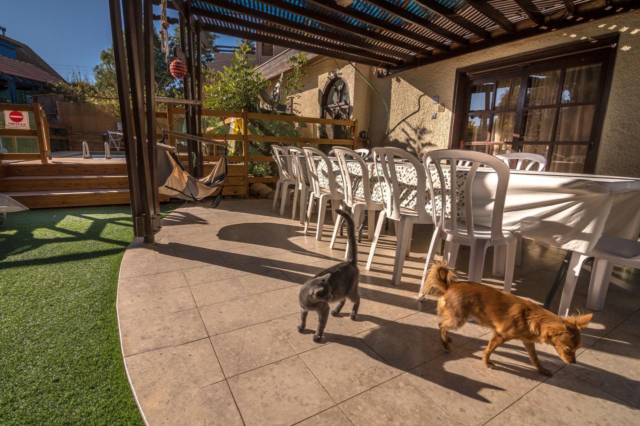 Desert Bird Guest House Arad Exterior foto