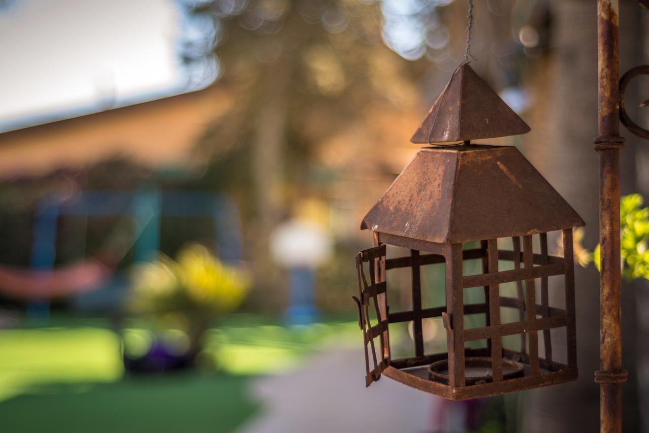 Desert Bird Guest House Arad Exterior foto